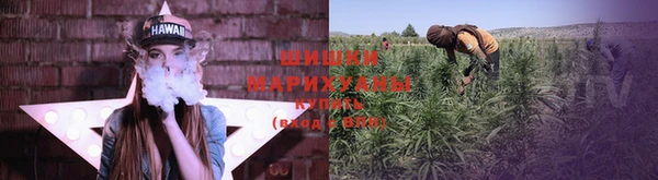 эйфоретик Вязьма