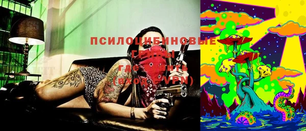 эйфоретик Вязьма