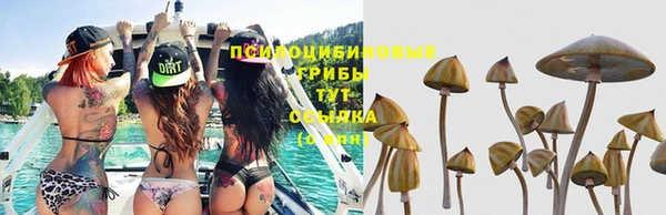 трава Вяземский