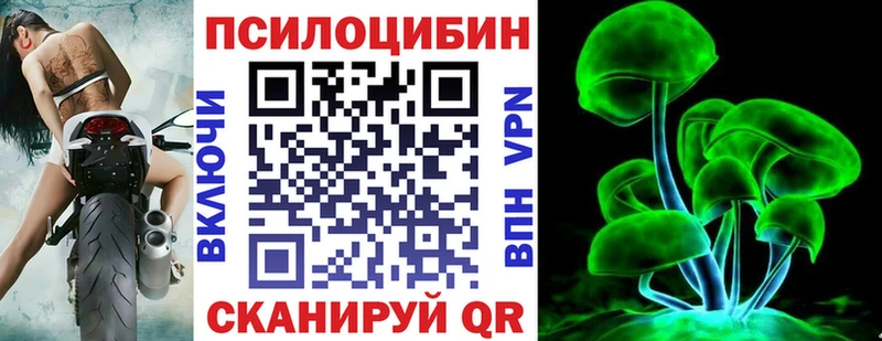 Галлюциногенные грибы Psilocybine cubensis  Брянск 